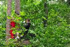 IMGP0642.JPG