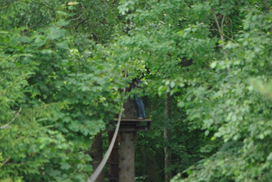 IMGP0646.JPG