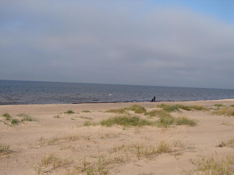 DSC07391.JPG