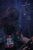 Hard Rock Laager 2014 I (47).jpg