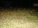 DSC00022.jpg