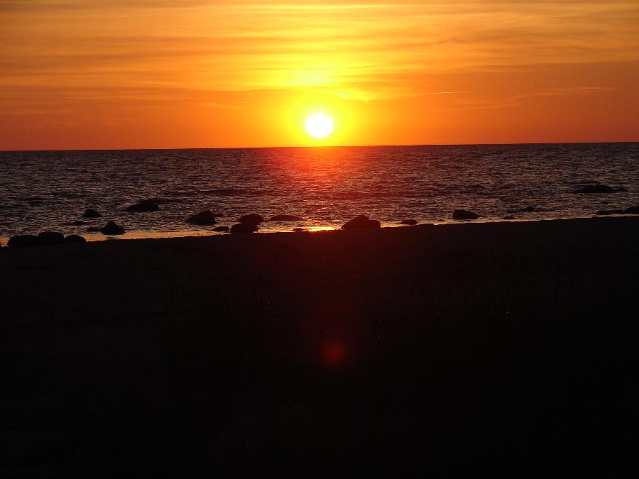 DSC07802.JPG