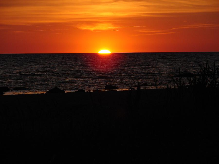 DSC07867.JPG