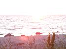 DSC07871.JPG