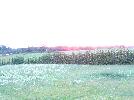 DSC05327.JPG