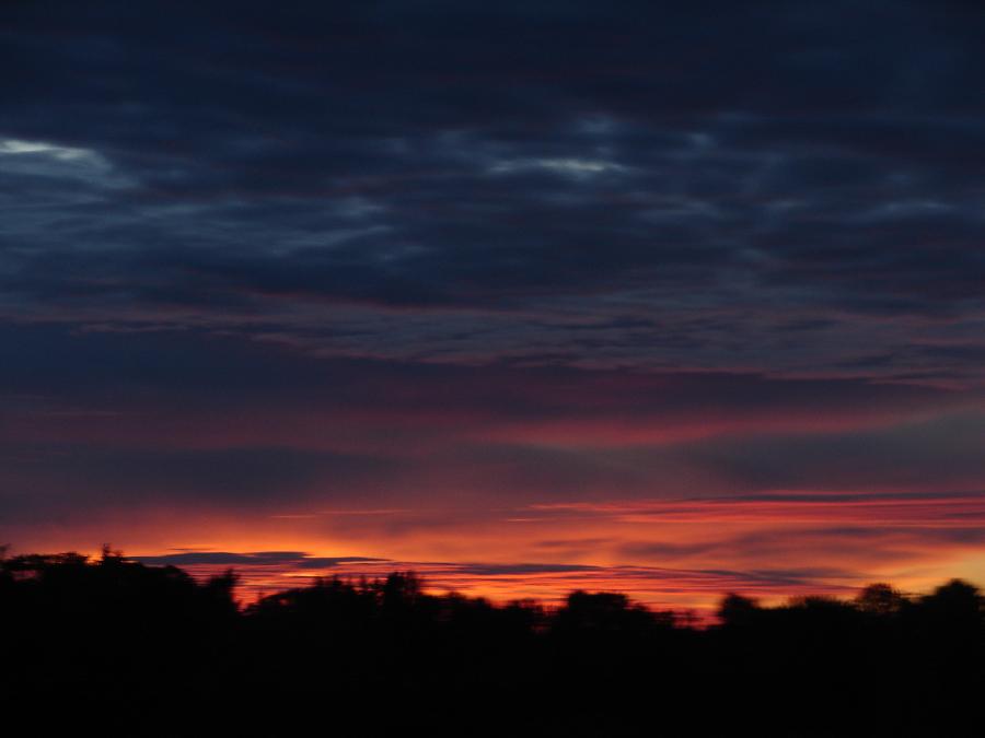 DSC05366.JPG