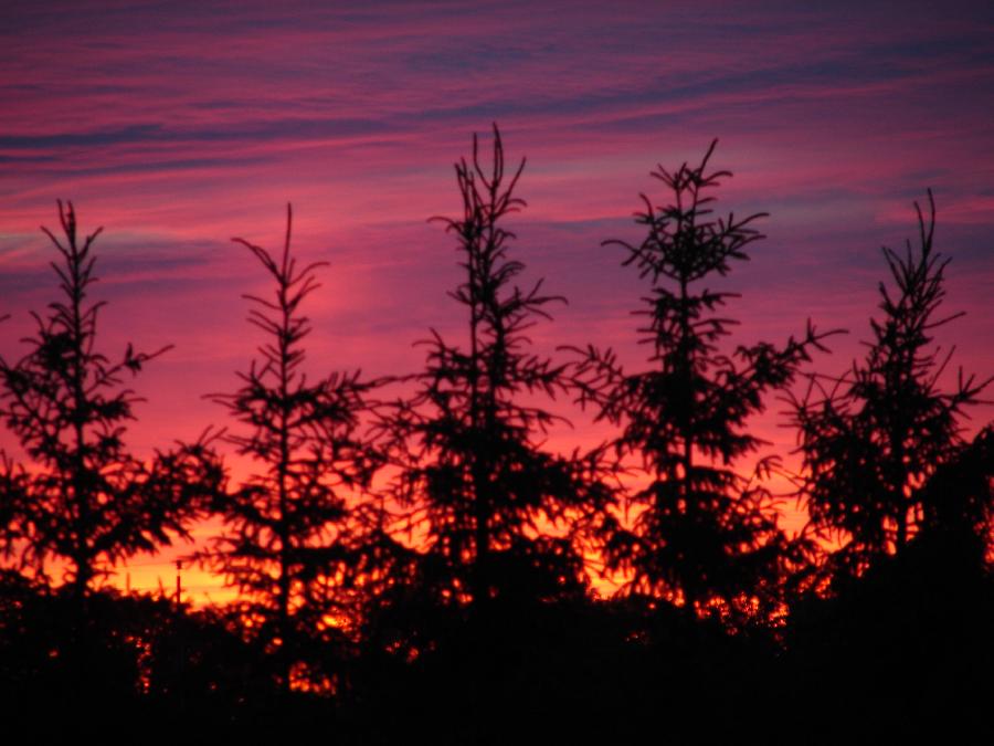 DSC05440.JPG