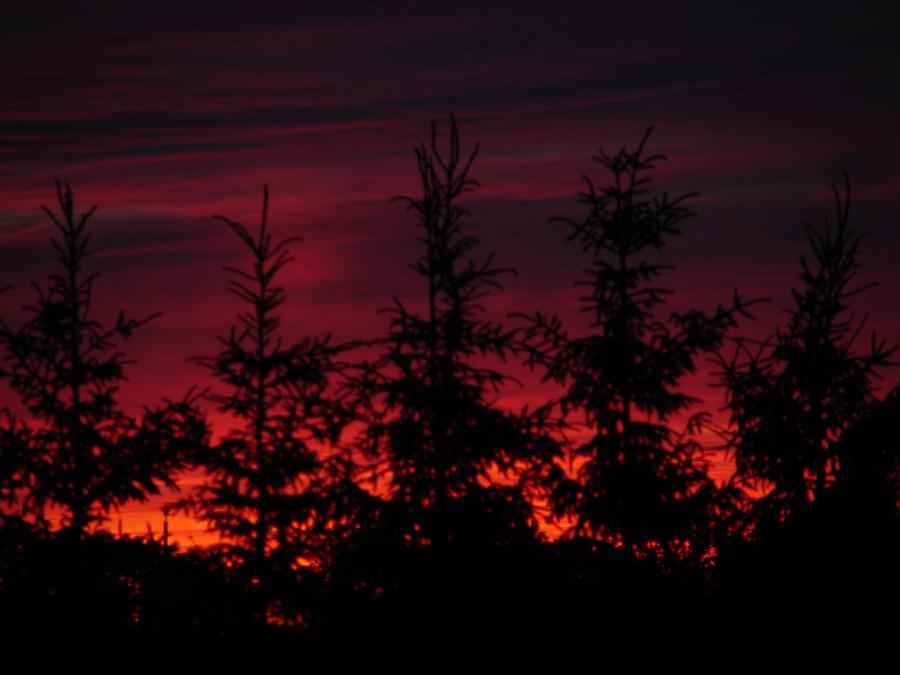DSC05442.JPG