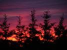 DSC05447.JPG