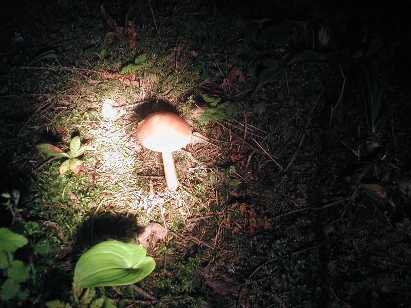 P8030005.JPG