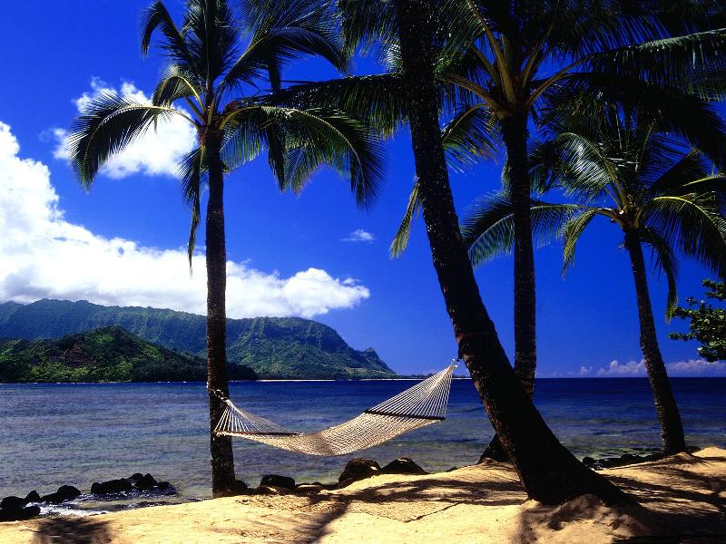 Afternoon Nap, Kauai, Hawaii - 1600x1200 - ID 43.jpg