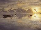 Daybreak at Cook Islands - 1600x1200 - ID 36670.jpg