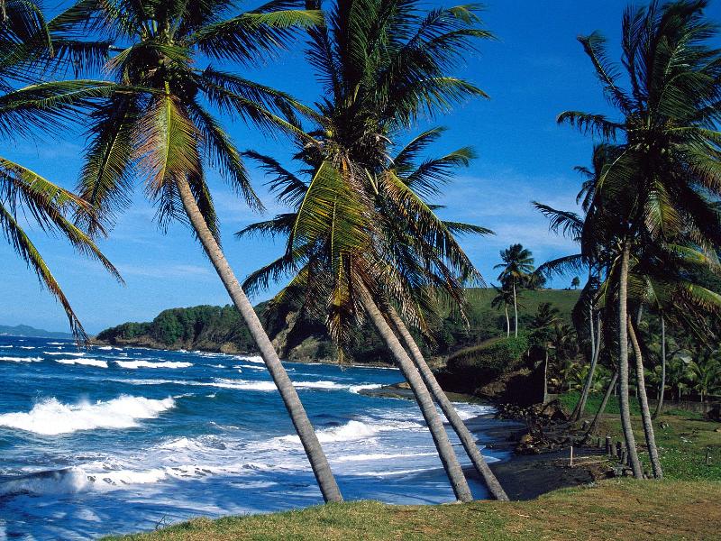Summer Waves, St. Lucia - 1600x1200 - ID 41276.jpg