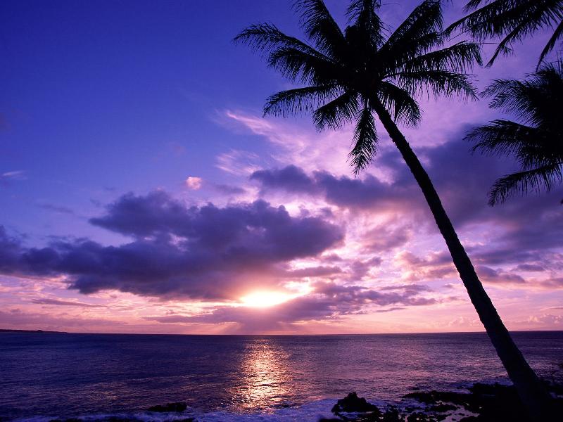 Tahitian Paradise - 1600x1200 - ID 10989.jpg