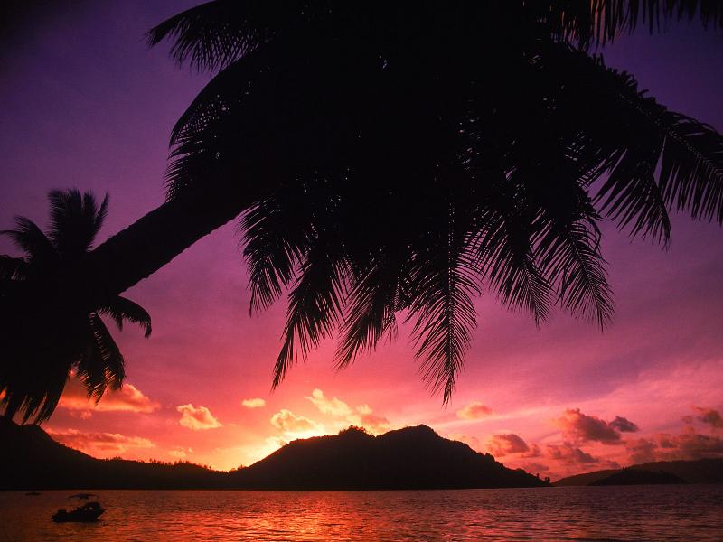 Tropical Beach at Sunset, The Seychelles - 1600x.jpg