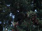 DSC05541.JPG