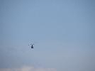 DSC06593.JPG