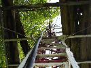 DSC01434.JPG