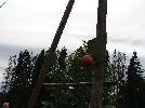 DSC08532.JPG