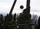 DSC08533.JPG