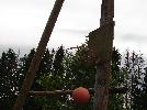 DSC08534.JPG