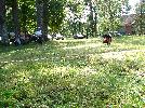 DSC08734.JPG