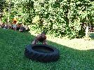 DSC08768.JPG