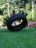 DSC08799.JPG