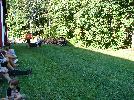 DSC08811.JPG