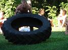 DSC08822.JPG