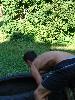 DSC08864.JPG
