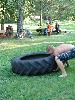 DSC08876.JPG