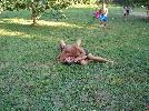 DSC08940.JPG