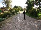 DSC01652.JPG