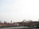 DSC03328.jpg