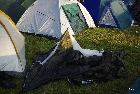 HRL_2_paev.JPG