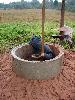 DSC01787.JPG