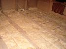 DSC05987.JPG