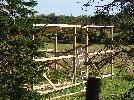 DSC05225.jpg