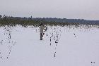 Selli Sillaotsa matk 2011 (38).JPG