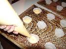 DSC08233.JPG