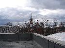DSC08208.JPG