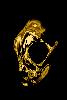 Golden_Cat_Skull_by_DemonDragonSaer.jpg