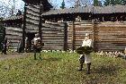 Larp-kassinurmel (135).JPG