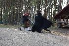 Larp-kassinurmel (338).JPG