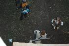 Larp-kassinurmel (422).JPG